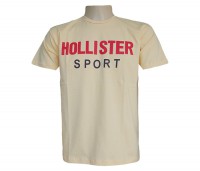  CAMISA HOLLISTER PRODUTO PRONTA ENTREGA  FRETE A COMBINAR !!